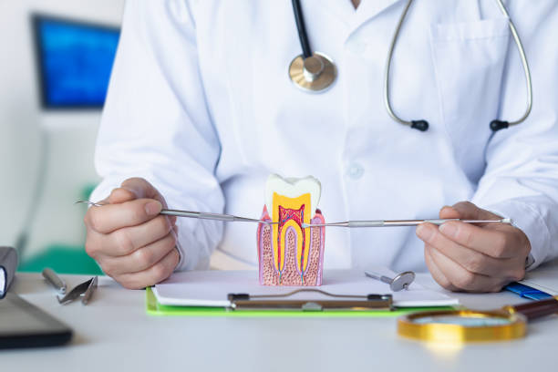 Best Urgent Tooth Repair  in Plainfield, IL